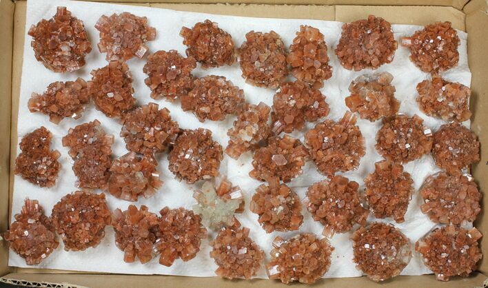 Lot: / to / Twinned Aragonite Clusters - Pieces #134148
